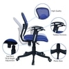 Aaeroa Low Back Ergonomic Chair in Black Colour