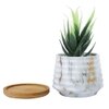 White 1 Pieces Succulent Artificial Plant With Pot