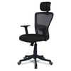 Dreaceo High Back Ergonomic Chair in Black Colour