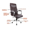 Shark High Back Executive Office In Brown Colour