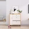 Hexa Red Engineered Wood Shoe Rack in Giant Wood and Frosty White Colour
