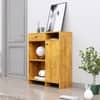 Hexa Red Multipurpose Storage Cabinet With 1 Drawer 1 Door in Giant Wood Colour