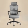 Imperia Ergonomic Study Chair in Grey Colour