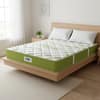 Peps Springkoil Ortho Luxe 8 Inch Pocket Spring Latex Foam Mattress Single 72x30
