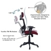 Dreaceo High Back Ergonomic Chair in Maroon Colour