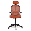 Reaii Mid Back Ergonomic Chair in Orange Colour