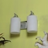 Eliante Modern Wall Lights Mild Steel & Glass Material Chrome & White Finish
