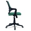 Ddeasirea Mid Back Ergonomic Chair in Dark Green Colour