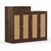 Danta Sheesham Wood Shoerack  In Walnut Finish  with Rattan Door
