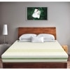 Prana - Organic Cotton Fabric Spring Mattress (72 x 48 in, 8 Inches)