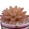 Sucullent Artificial Plant With Multicolored Stripes Along With Pot