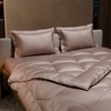 Stoa Paris Comforter Set Double Bed, 300TC Satin Double Bed Comforters in Champa Champagne