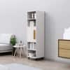 Hexa Engineered Wood Bookshelf Multipurpose Wooden Storage Rack in Frosty White Colour