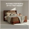 Heritage Cane Upholstered Queen Size Bed in Linen With Oak wood Frame