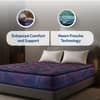 Sleepwell Champ Classic Ortho 5 inch Single Bonded Foam Mattress (L x W: 84 inch x 35 inch)
