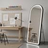 The Artment Black Halo Arch Unbreakable Floor Mirror For Home (160 X 50 CM)