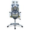 Wiweangs High Back Ergonomic Chair in Pearl Green Colour