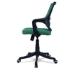 Ddeasirea Mid Back Ergonomic Chair in Dark Green Colour