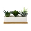 Artificial Faux Plants In A Ceramic Pot With A Wooden Plate