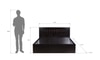 Muses Engineered Wood Queen  Size Bed With Drawer Storage (Melamine Finish)