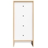 Trudo Modular Shoe Cabinet for 10 Pairs – Modern Space-Saving Shoe Storage Cabinet