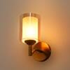 Eliante Modern Wall Lights Mild Steel & Glass Material Antique Gold & Champaign Finish