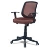 Xxeana Low Back Ergonomic Chair in Brown Colour
