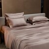 Stoa Paris Super King Size Bedsheet with 4 Pillow Covers  Size Cha Champagne