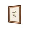 Artistry Brown Greenbirds Frame Canvas Wall Prints Canvas Wall Prints Set of 1 Multicolor Matte