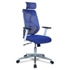 Wiweangs High Back Ergonomic Chair in Blue Colour