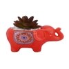 Succulent Plant Inside An Artistic Red Elephant Ceramic Pot