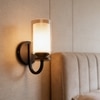 Eliante Modern Wall Lights Mild Steel, Wood, Glass & Glass Material Brown, Gold & Golden Finish