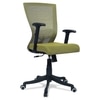 Ebeaony Mid Back Ergonomic Chair in Pearl Green Colour