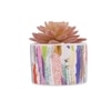 Sucullent Artificial Plant With Vertical Multicolored Stripes Along With Pot