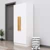 Hexa Red Wooden 2 Door Wardrobe with 4 Shelves in Frosty White Colour