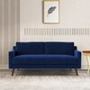 Reiti Velvet 2 Seater Sofa in Navy Blue Colour