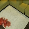 ALMA Wool Rectangle Carpets Hand Tufted in Ivory Colour