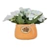 White Artificial Flowers Bunch With Orange Pot