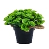 Artificial Green Eucalyptus Plant With A Rope Tied To Pot For Interior Decor