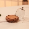 Ireka Homes Candy Glow Acacia Wood Cake Stand with Glass Dome