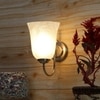 Devansh Steel Electric Wall Light in Steel Colour with White Shade Count of 1 Light