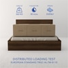Salmacis Engineered Wood Queen  Size Bed Without Storage (Walnut Finish)