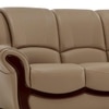 Blos 3 Seater Leatherette Sole in Mushroom Brown Colour