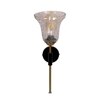 Devansh Metal Electric Wall Light in black Colour with Transparent Shade Count of 1 Light