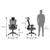 Werner Study Chair in Black Colour