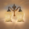 Devansh Metal Electric Wall Light in Multi Colour with Multi Shade Count of 2 Lights