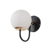 Eliante Modern Wall Lights Mild Steel, Glass & Glass Material Brown, Gold & White Finish