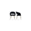Ayatt Solid Wood Accent Chair in Black Colour