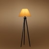 Devansh Tripod Floor Lamp