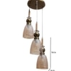 Eliante Cluster Hanging Lights Mild Steel, Wood & Glass Material Antique, Brown & Champaign Finish